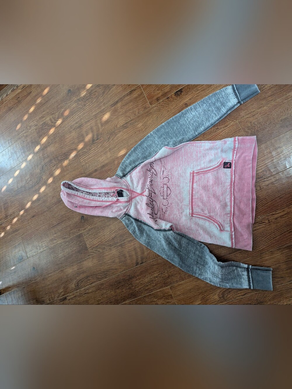 Y2K Era Pink Harley Hoody